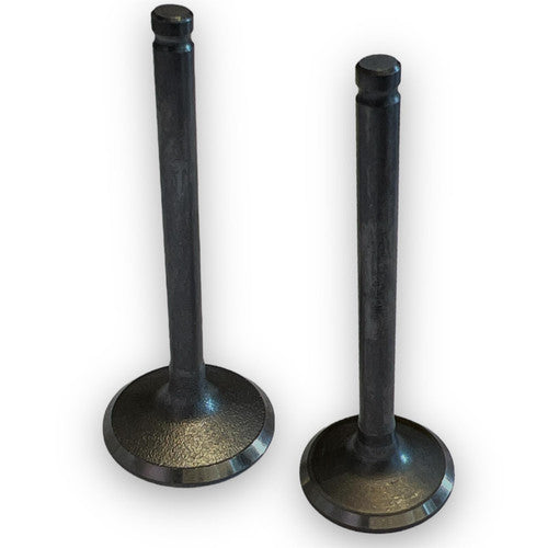 DETROIT 170cc Pit Bike Valves (28.5mm / 23.5mm)