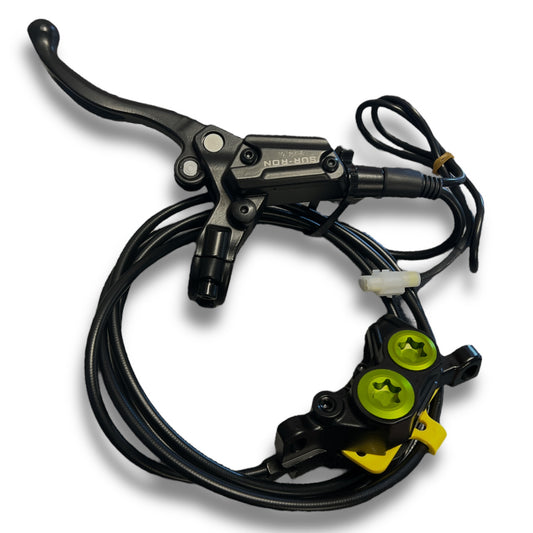 SurRon Complete Rear Brake System