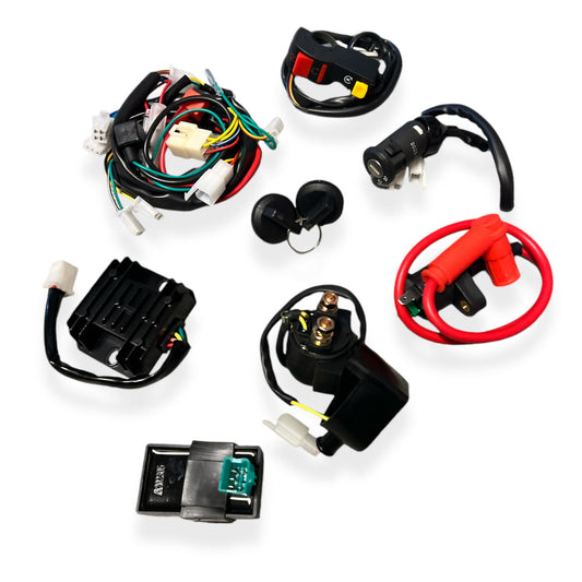 Zongshen 190cc (Z190) Complete Pit Bike Wiring Loom