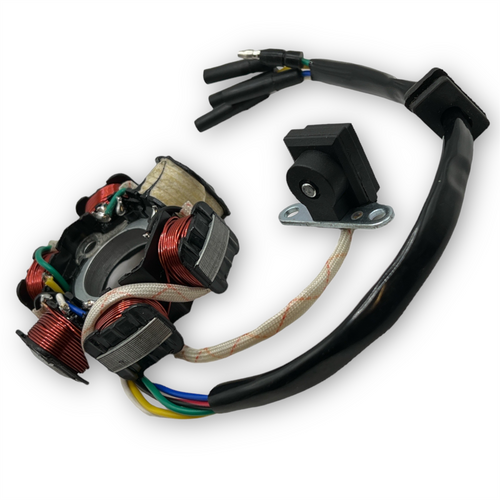 Pit Bike 6 Pole Electric Start Stator / Ignition