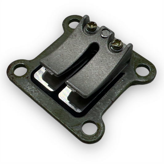 Mini Moto Reed Valve