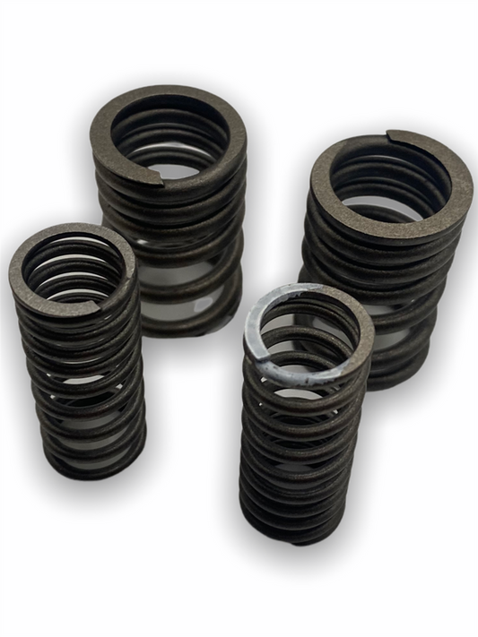 Zongshen 190cc Pit Bike Valve Springs Set
