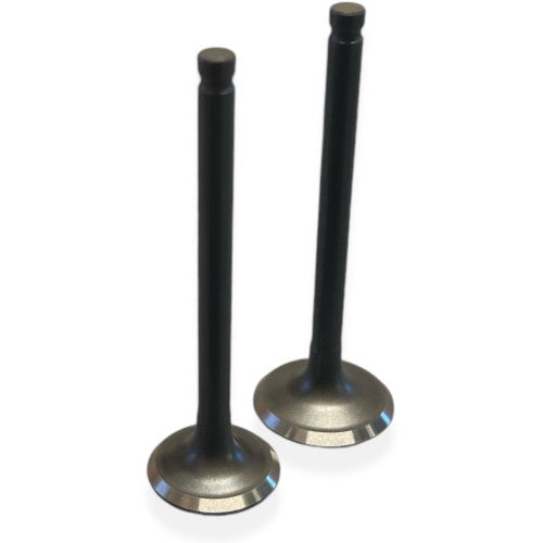 70cc, 90cc, 110cc Pit Bike Valves (23mm / 20mm)